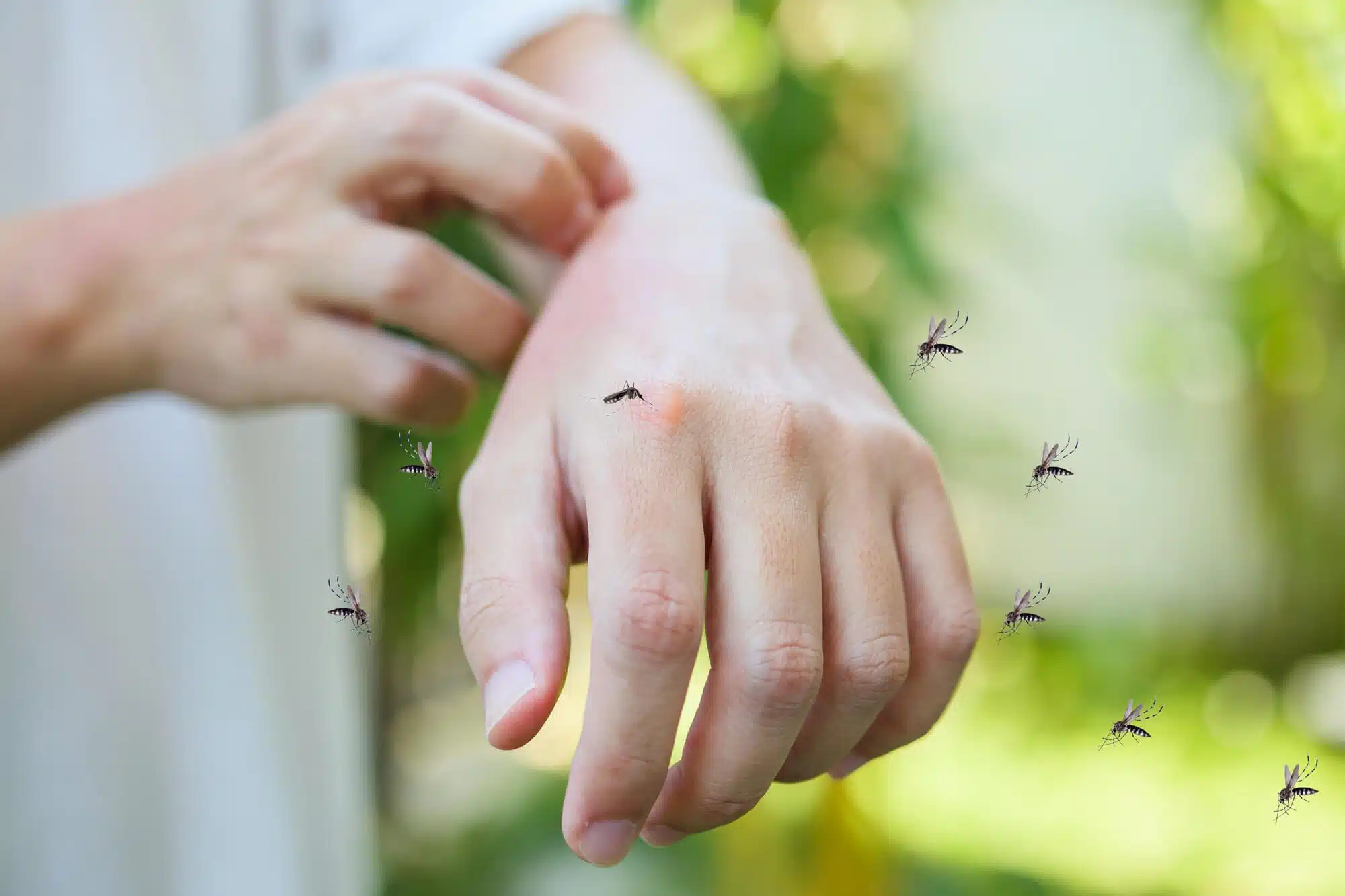 a person scratching a hand with mosquitoes